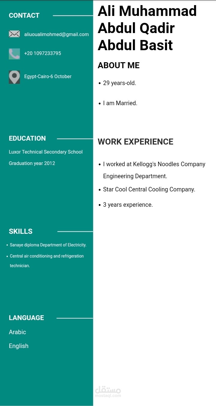Professional CV