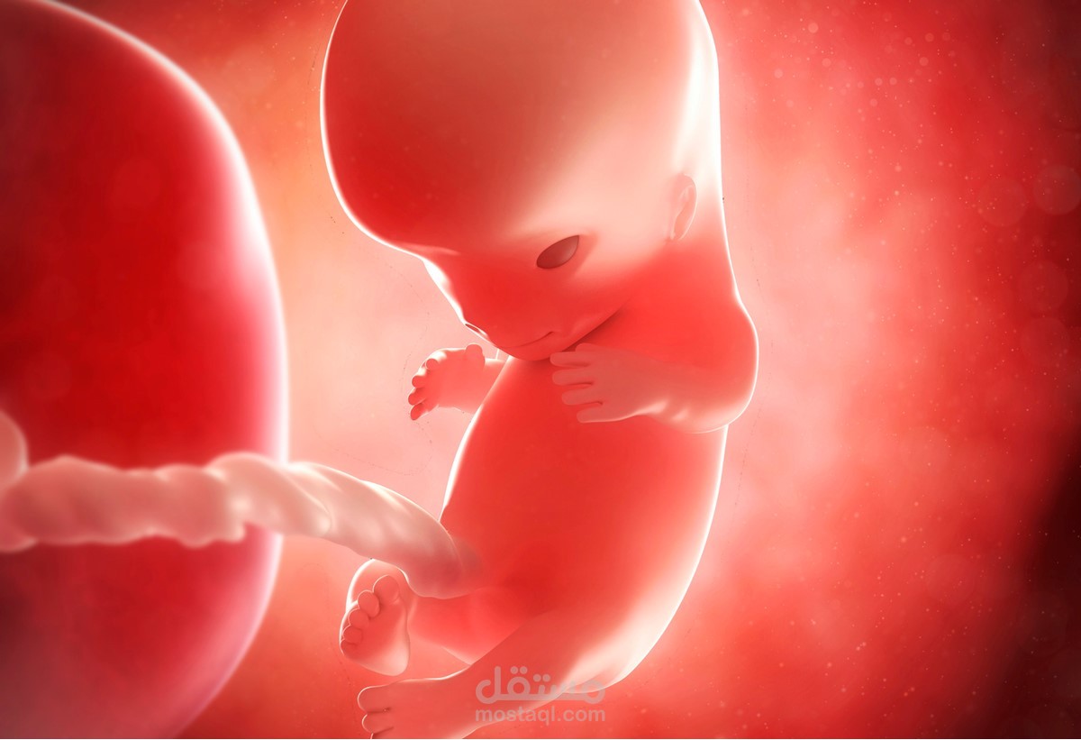 الإجهاض في زمن المذبحة
