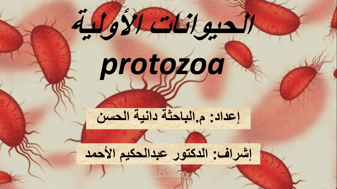 تصميم عرض تقديمي باستخدام بوربوينت