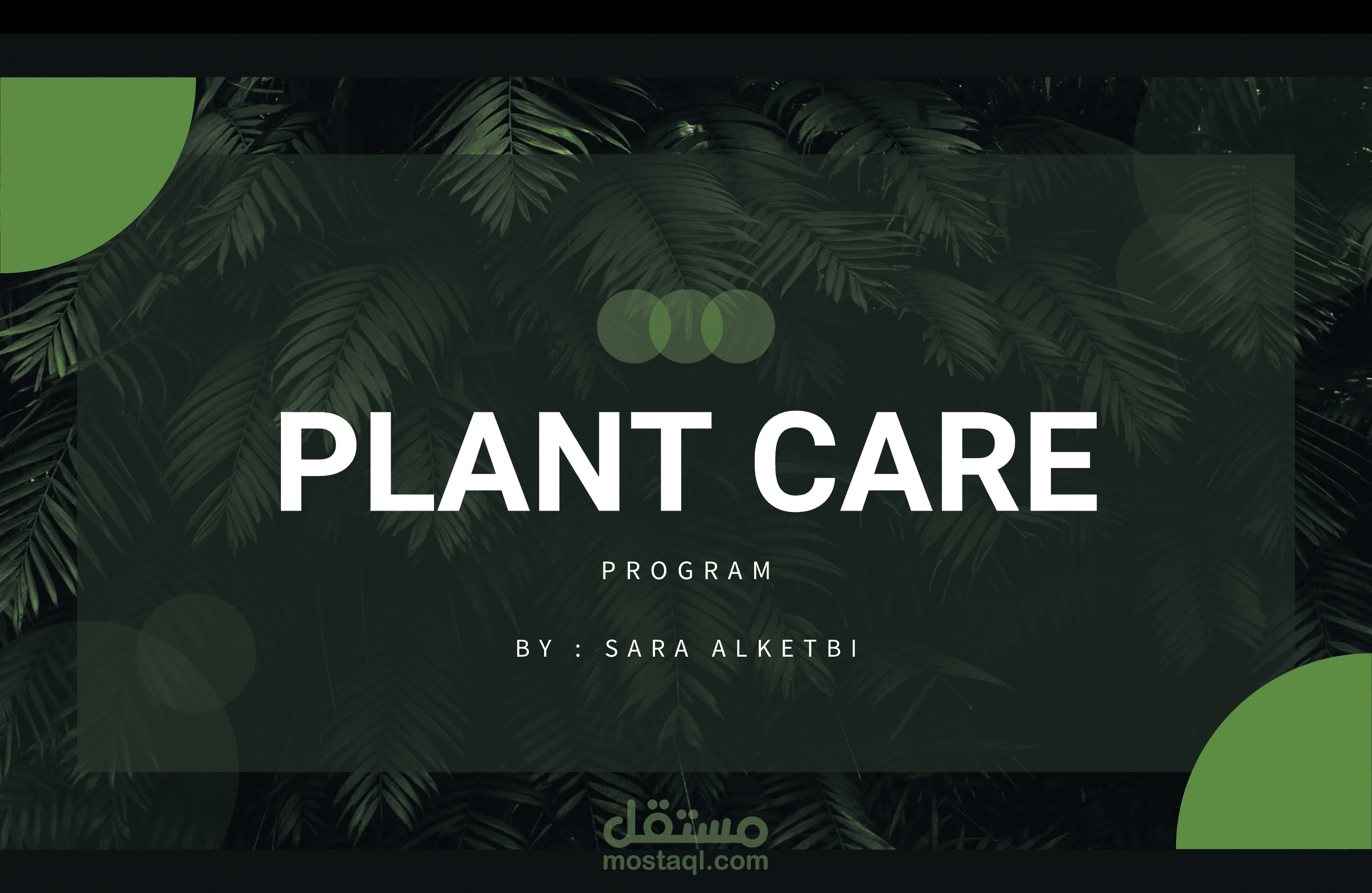 رعاية النباتات  Plant care