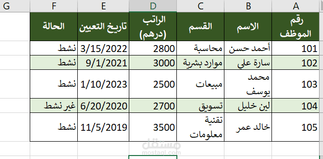 تنظيم وإدخال بيانات باستخدام Microsoft Excel
