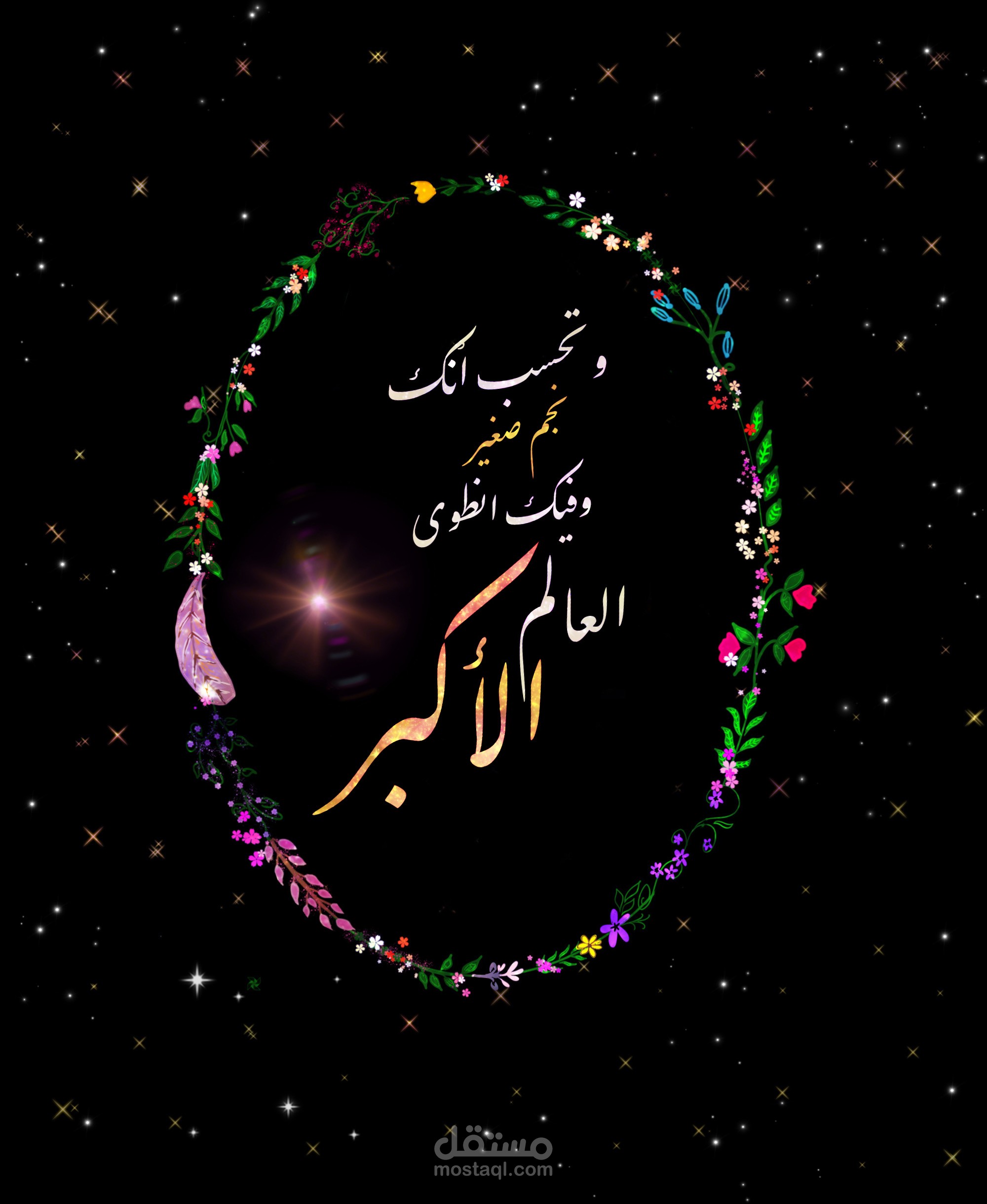 فيديوهات قصيرة ( reels & TikTok)