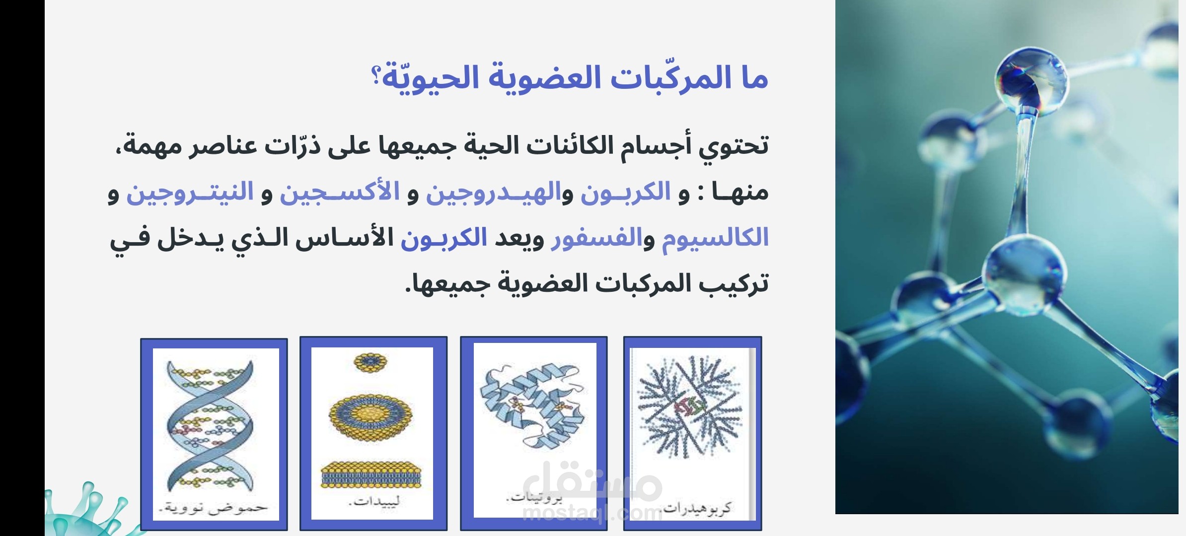 تصميم مادة العلوم الحياتية