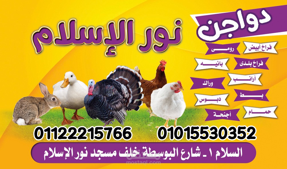 كارت محل دواجن
