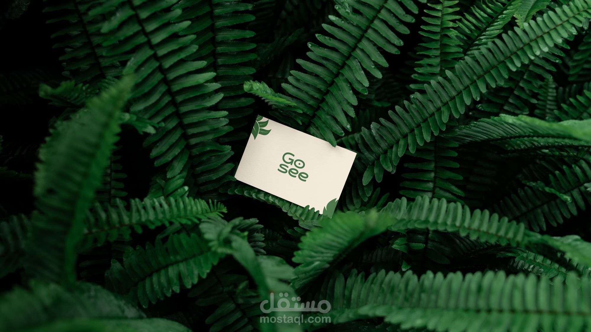 Go See - brand identity