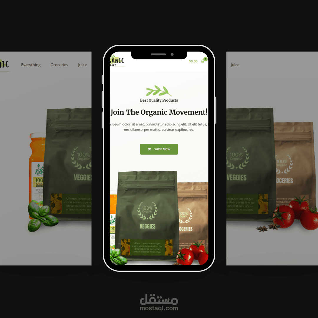 تطوير مواقع الويب Frontend Developer