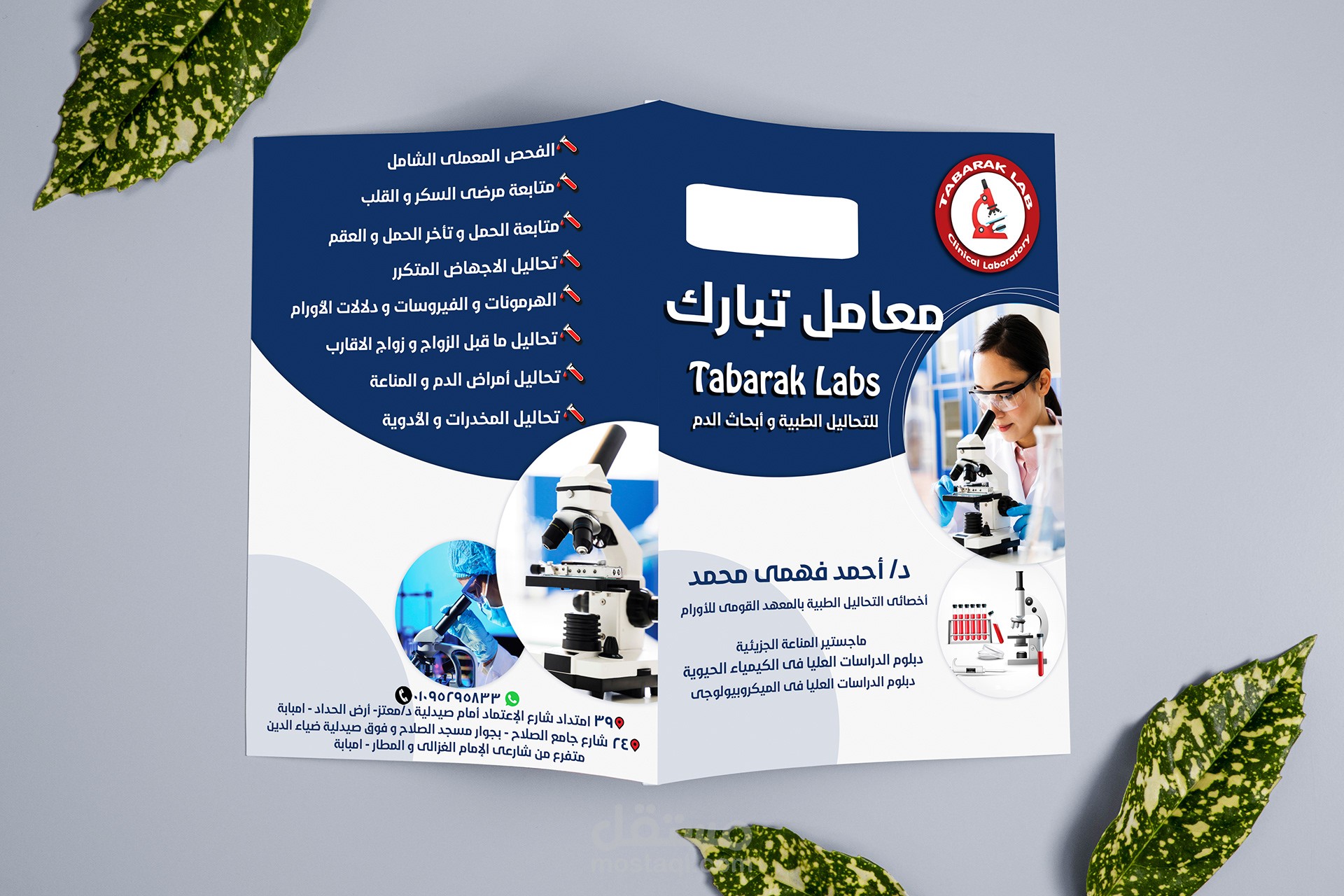 A Lab folder and flyer (Brand Applications) | مستقل