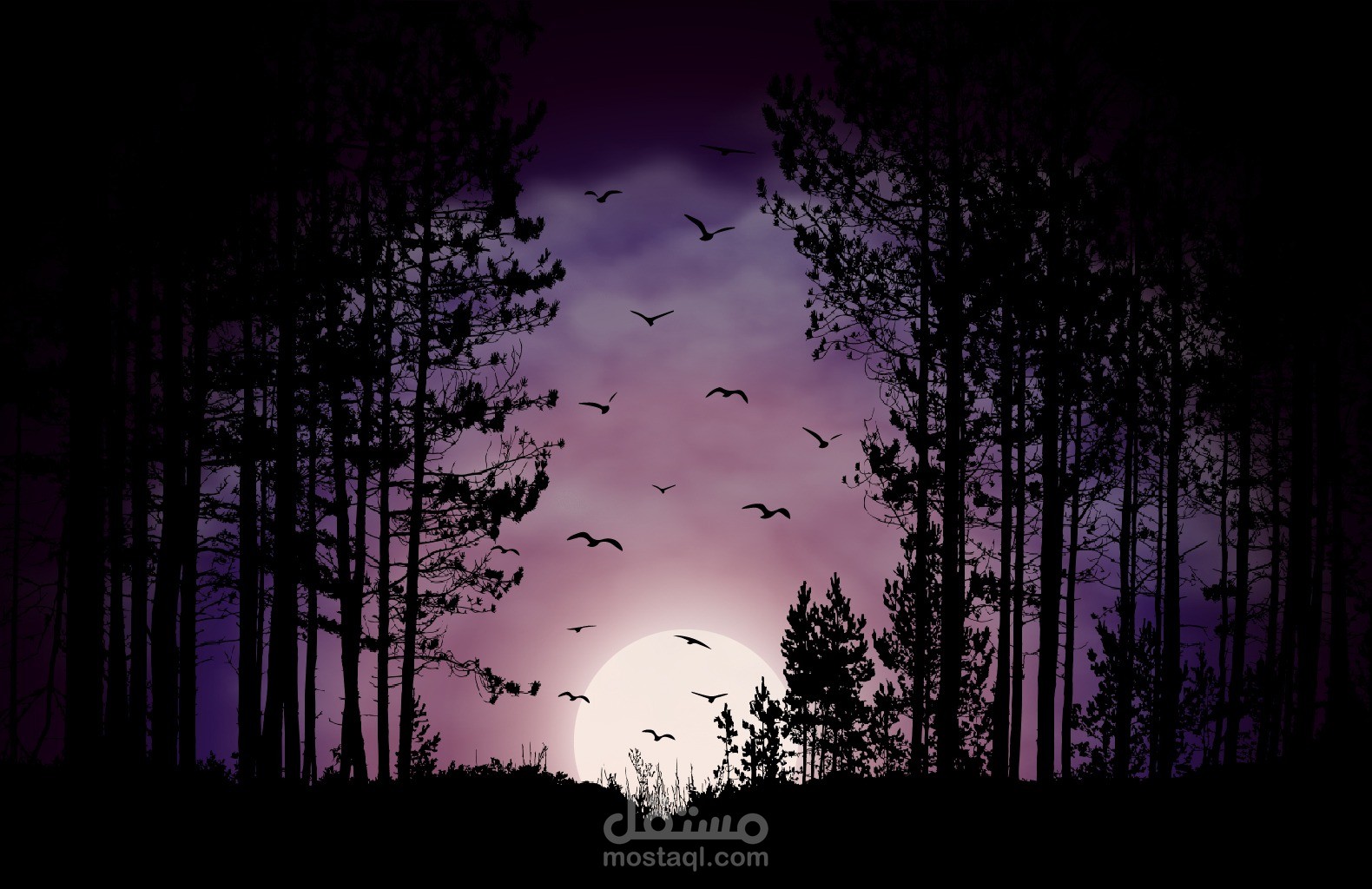 Forest