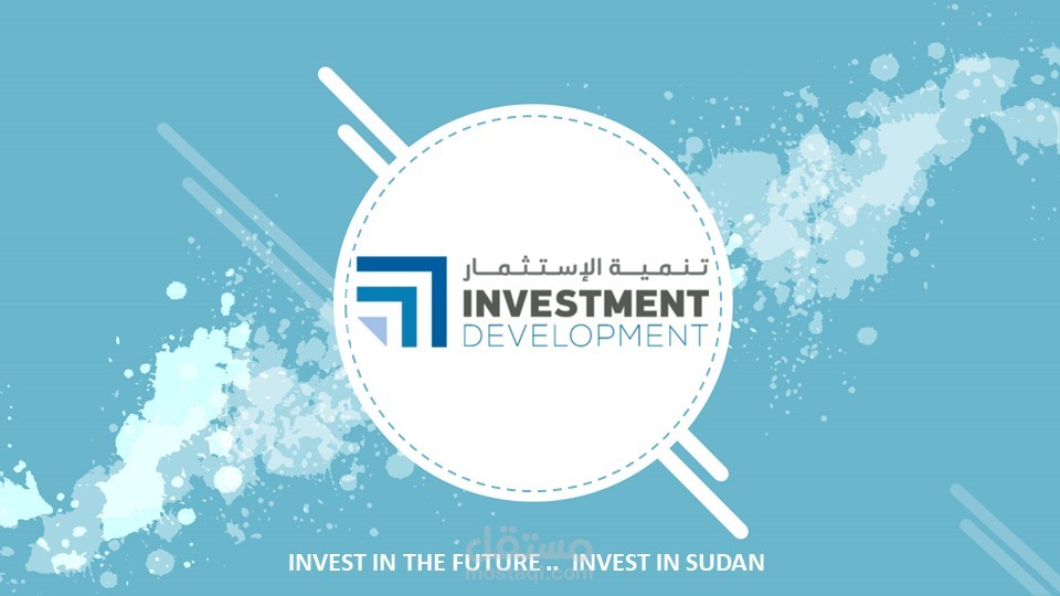 عرض بوربوينت لصالح شركة تنمية الاستثمار الدولية