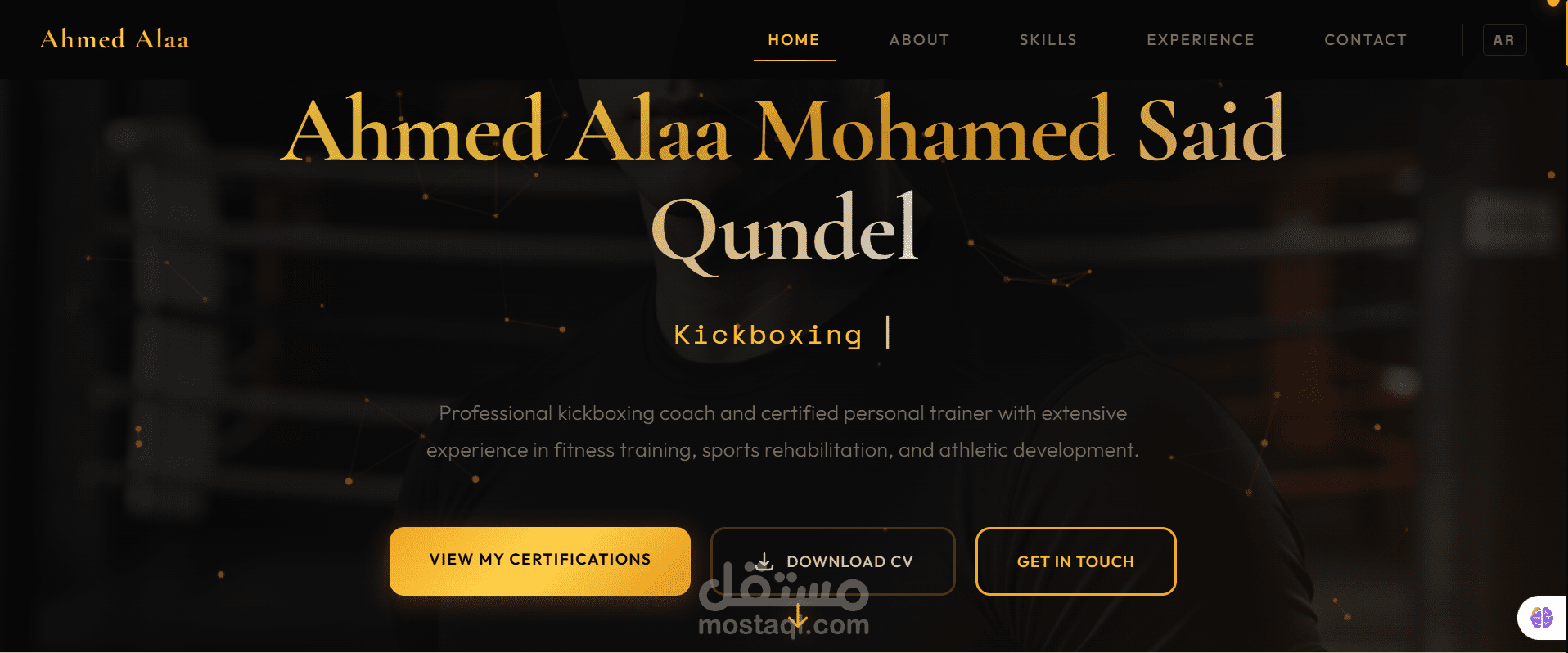 Professional Kickboxing Coach Portfolio