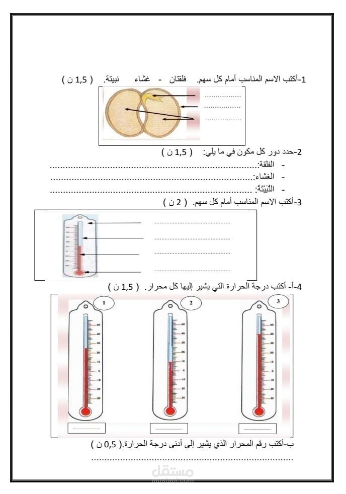 كتابة فروض بالوورد.