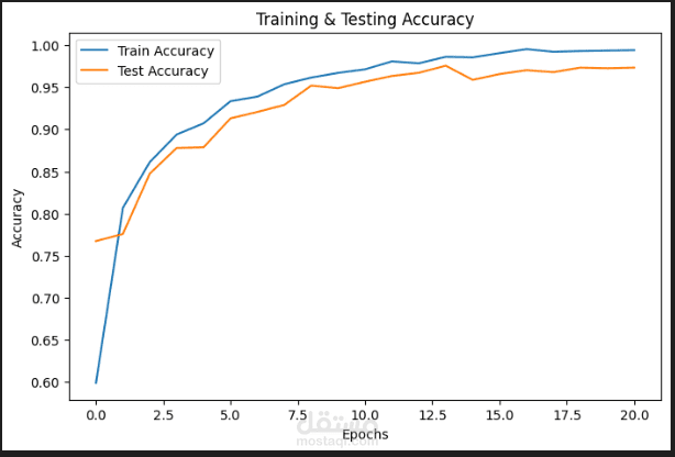 Tumor detection
