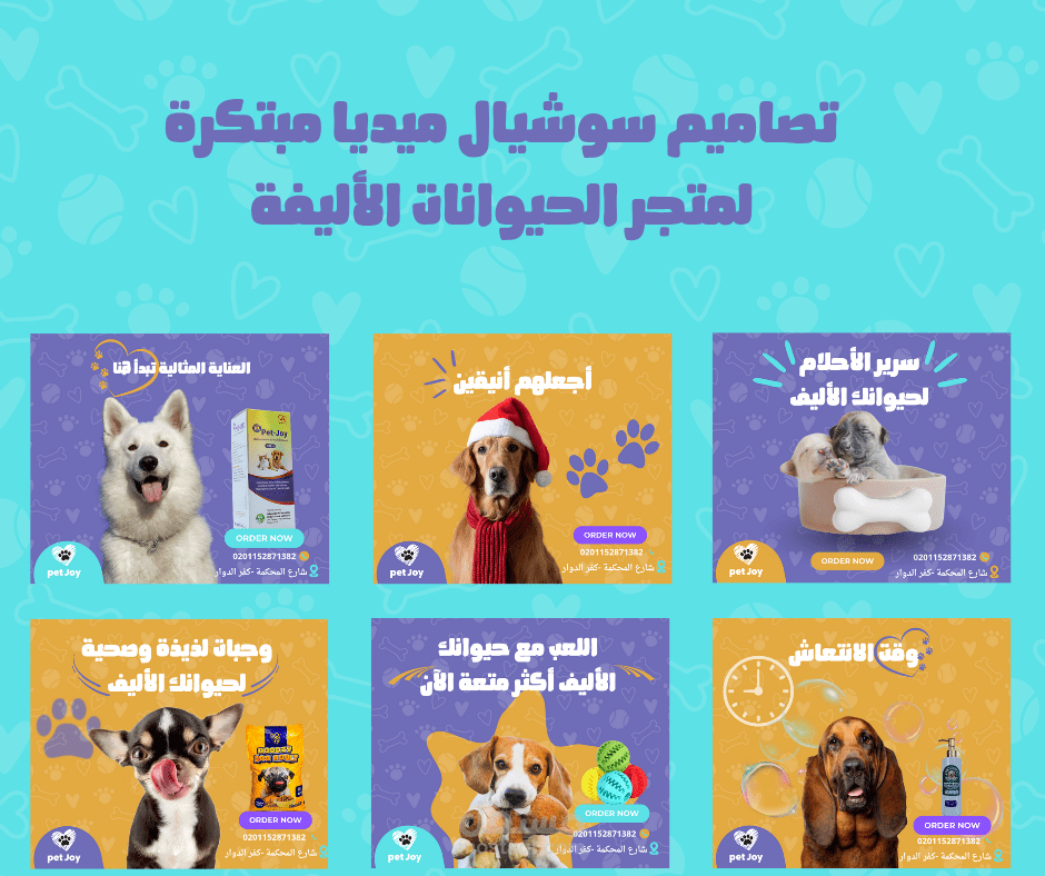 تصاميم سوشيال ميديا مبتكرة لمتجر الحيوانات الأليفة