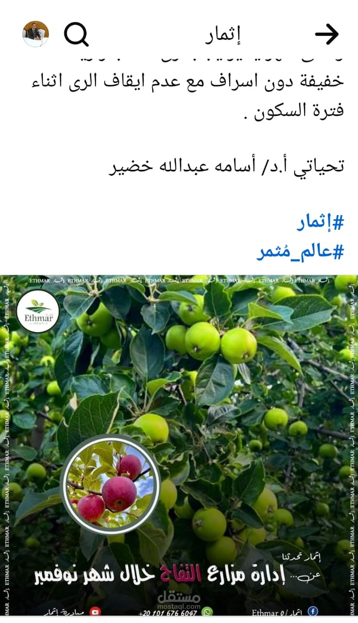 كتابة مقالات عبر منصات تعليميه
