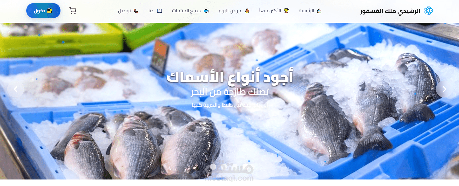 «تصميم موقع محل أسماك – بيع مباشر وترويج عبر الإنترنت»