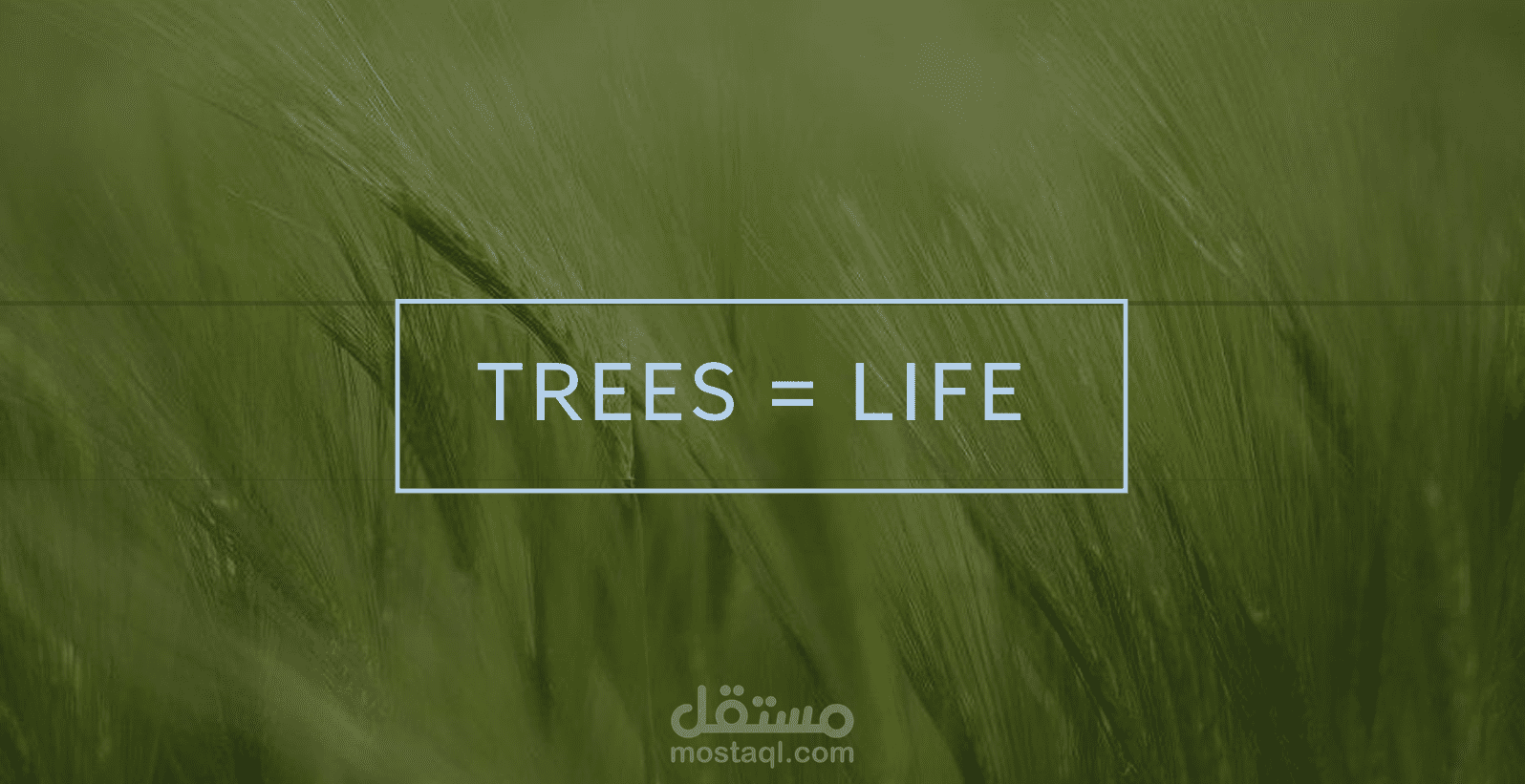 trees presentation