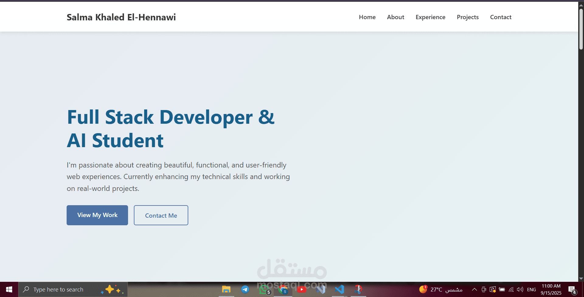 portfolio