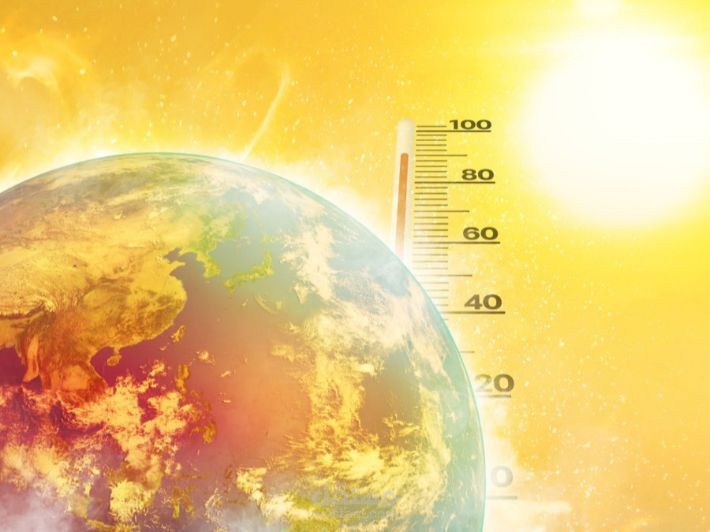 Harvard-Level Report on Global Warming