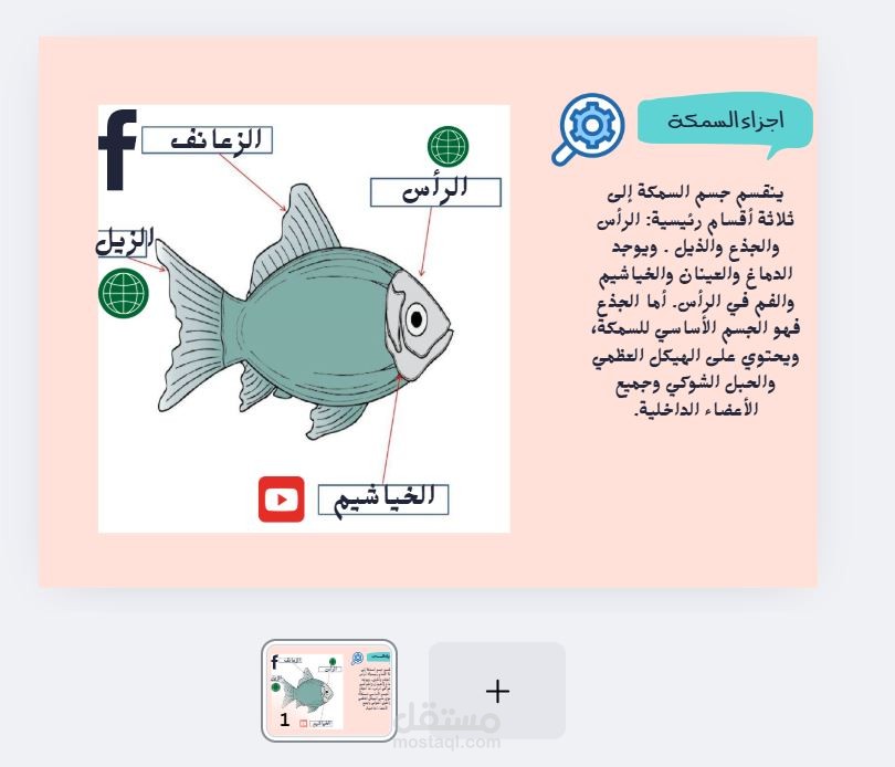عمل لوحة تعليمية باستخدام كانفا