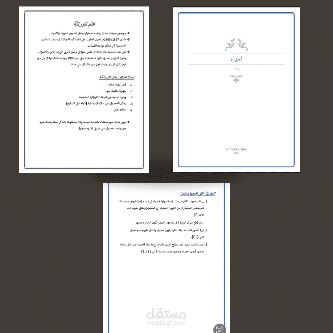 تفريغ صورة