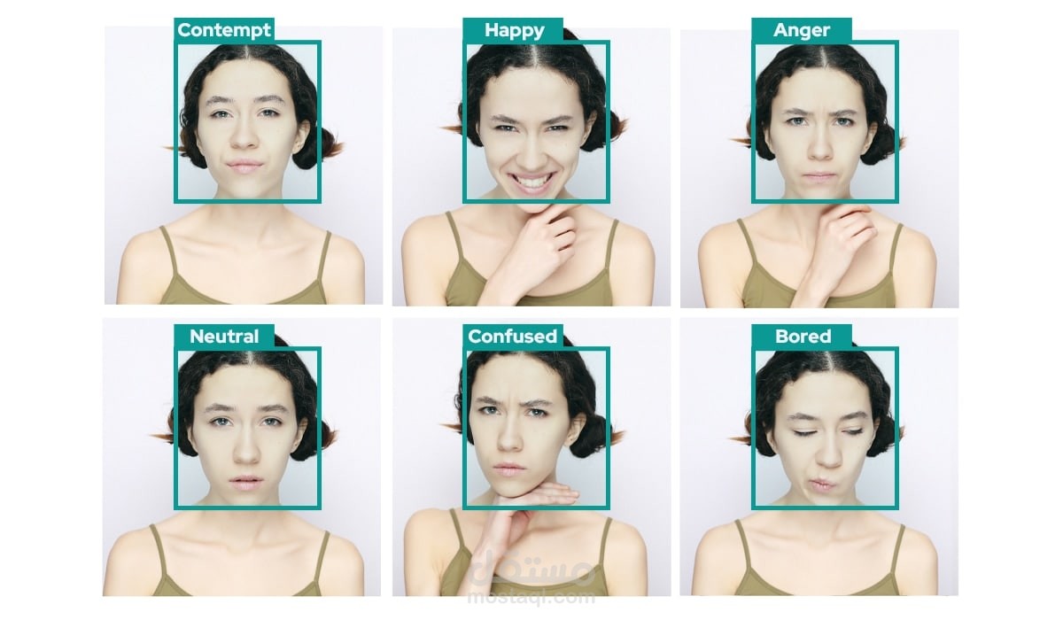 Emotion Recognition using  Facial Biometrics