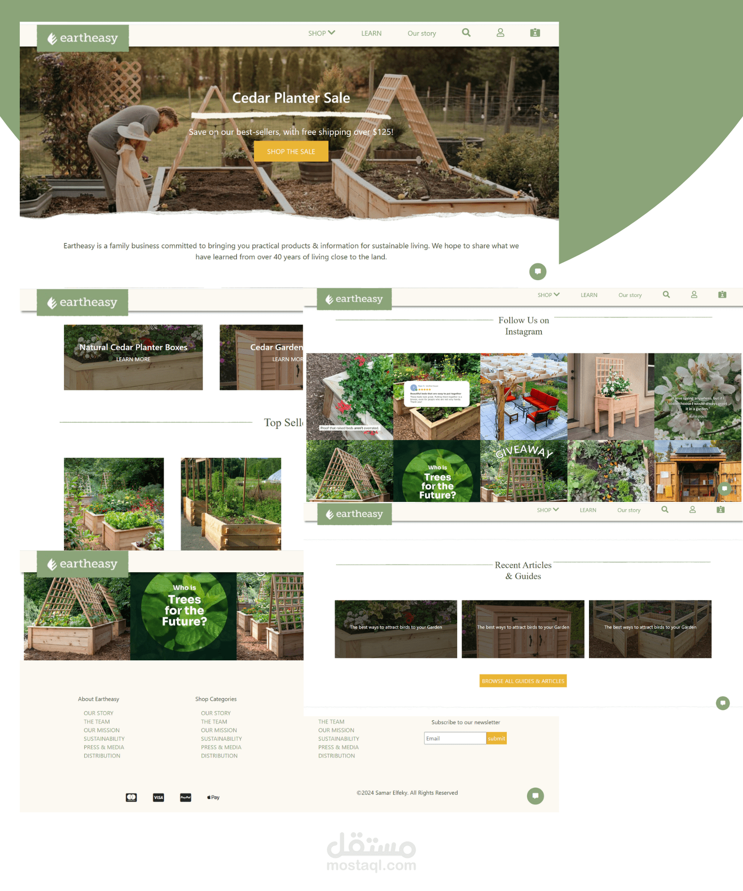 صفحة هبوط احترافية