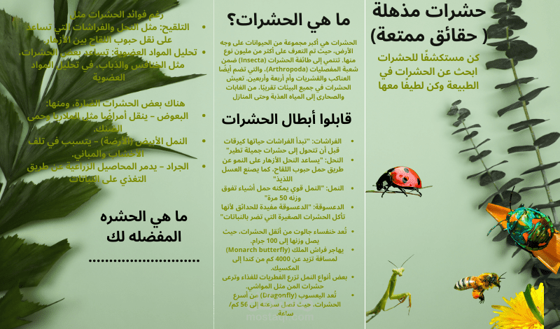 Brochure design