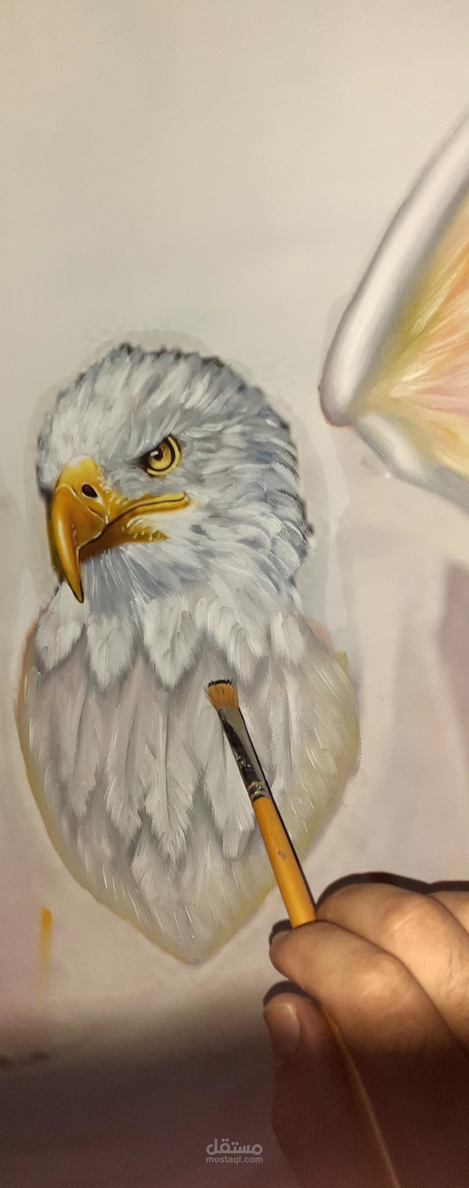 رسم  نسر  الوان زيتيه