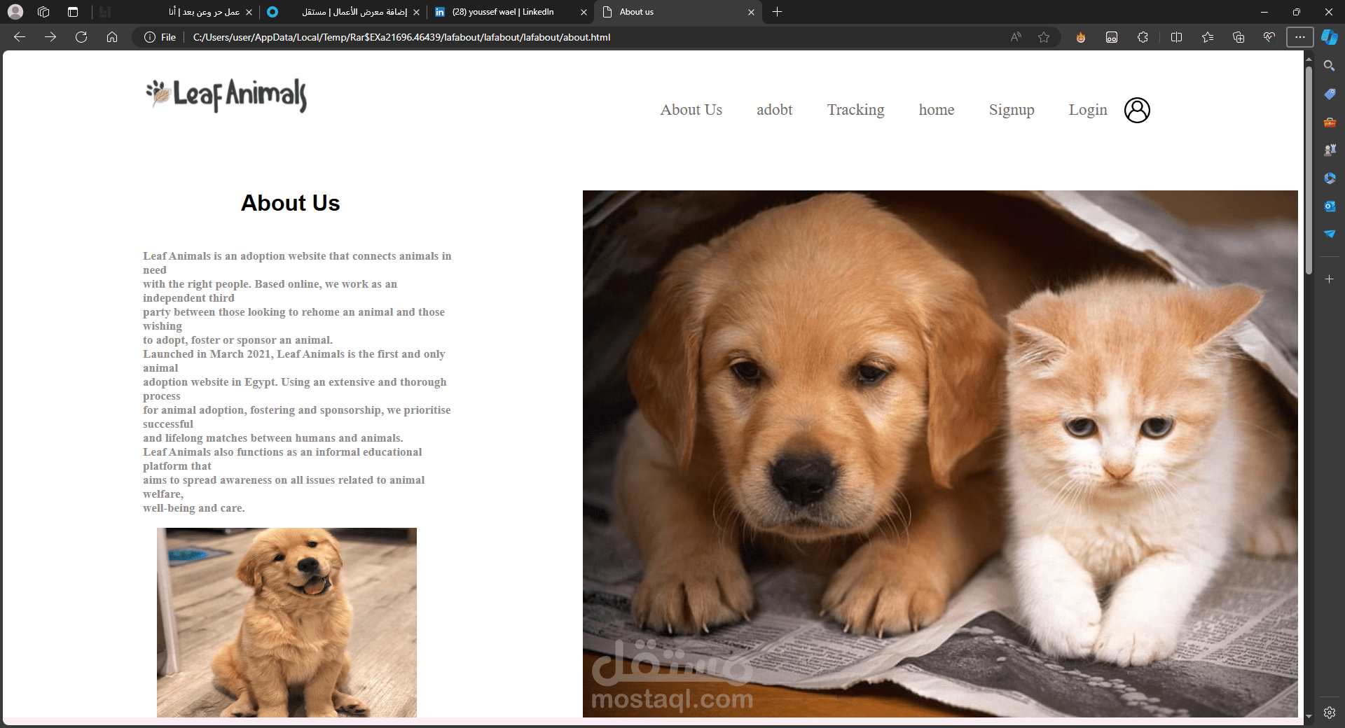 ملجأ حيوانات -Animal shelter