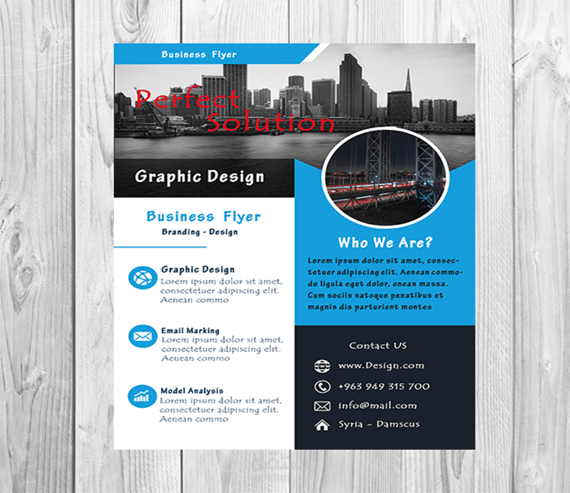 Business Flyer  6