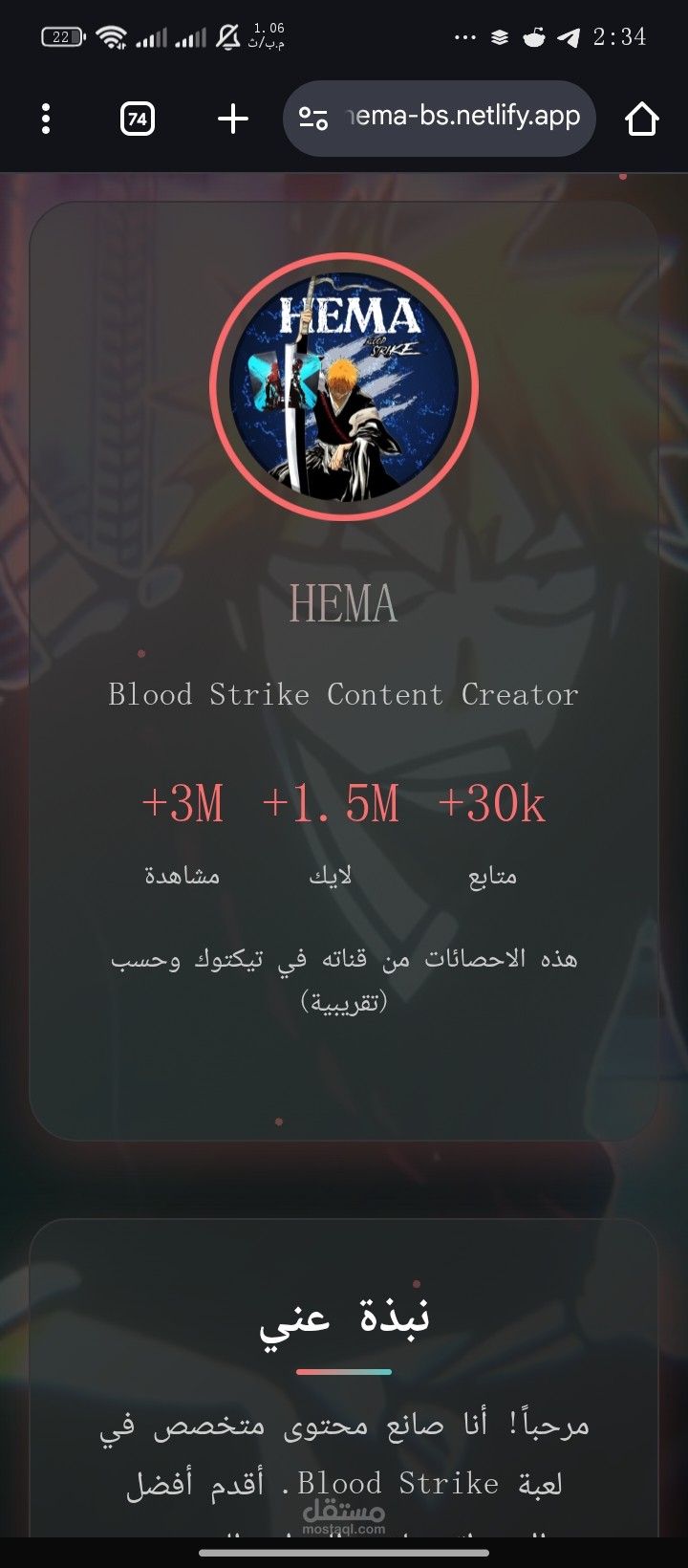 Portfolio site for a tiktoker