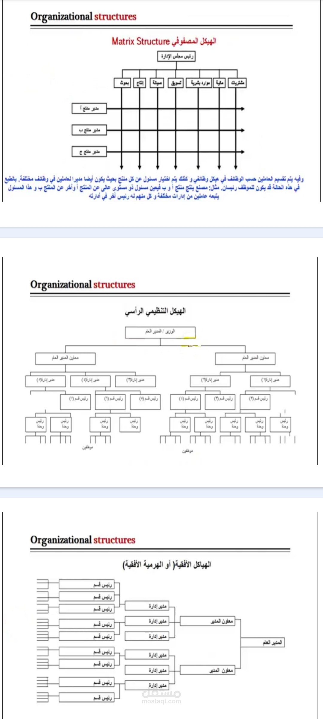 Organization structure