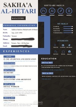 إنفوجرافيك CV 1