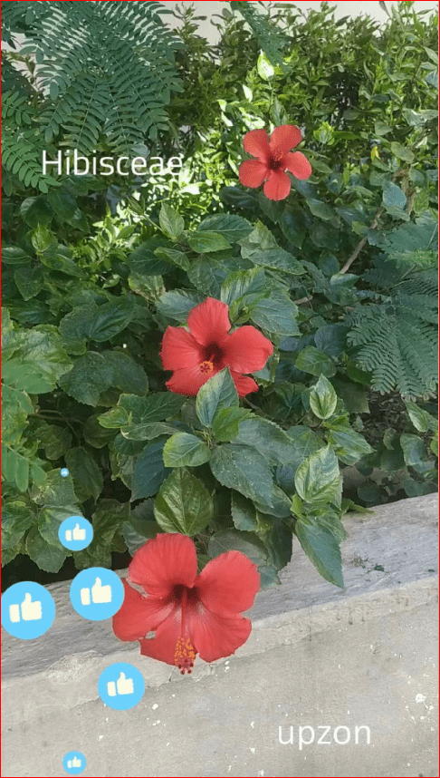 جمال الطبيعة