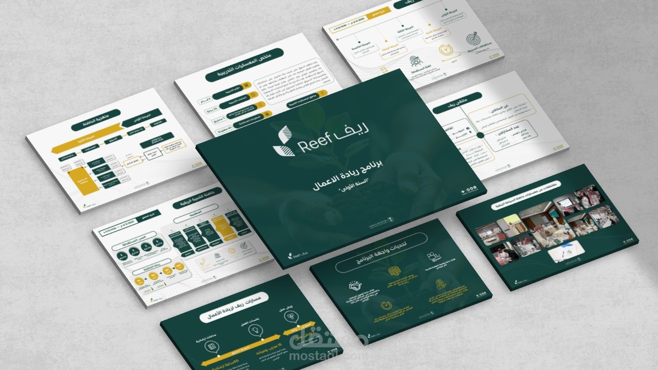 مشروع "ريف" لريادة الأعمال | ضبط وتعديل شرائح العرض