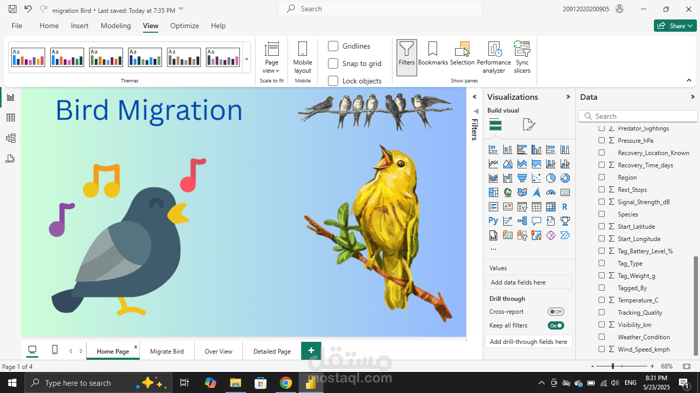 تحليل بيانات للطيور المهاجرة
