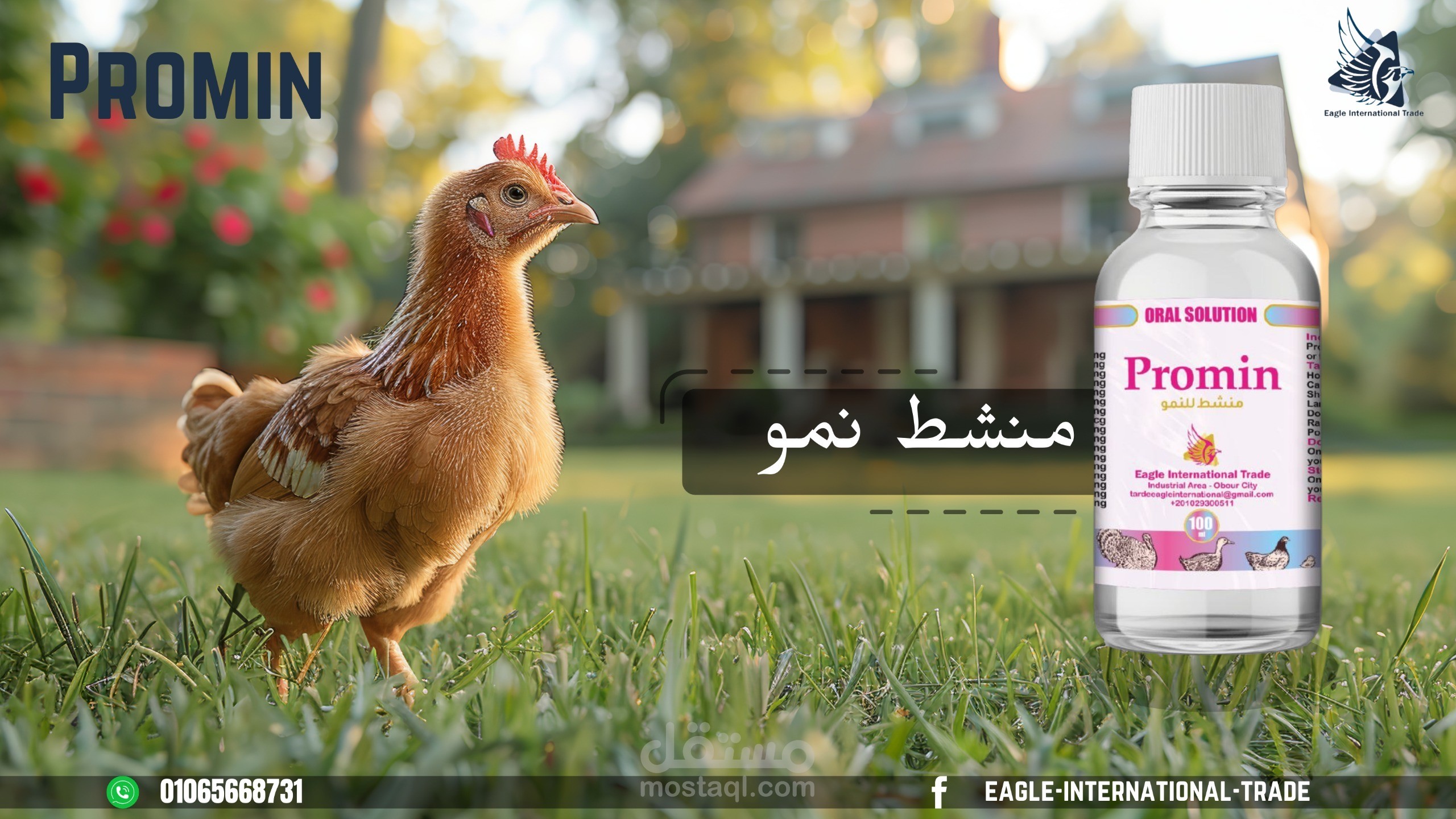 تصميم بوست فيسبوك لشركة ادوية بيطرية