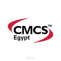 التخطيط الاستراتيجي لشركة تدريب بمصر