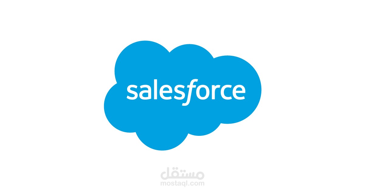 إدخال بيانات على موقع Salesforce