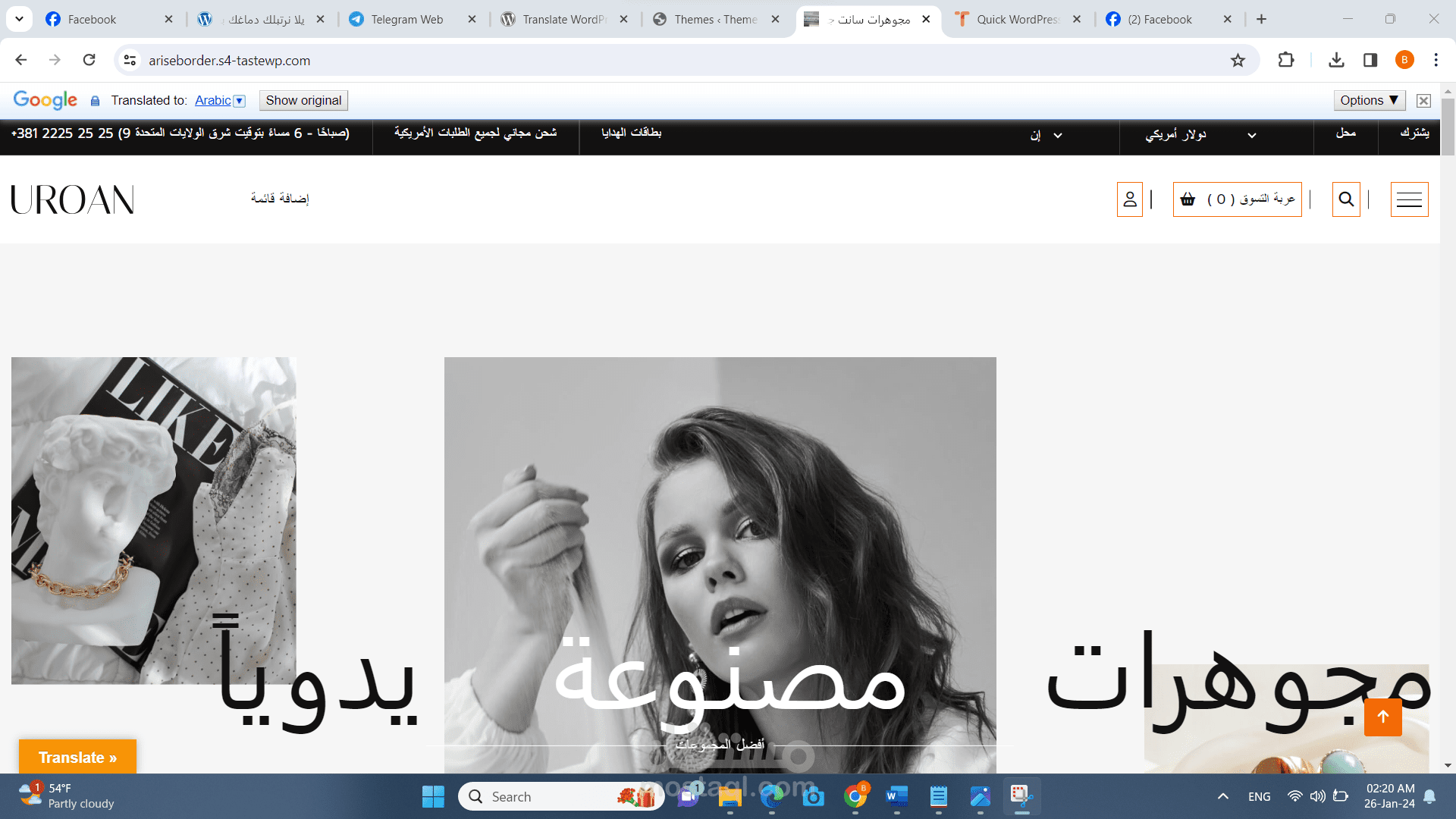صفحه متجر الكترومي لبيع المجوهرات مع وجود محفظ الكترونيه