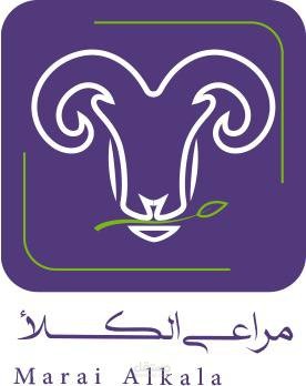 كاتبة محتوى لموقع متخصص في اللحوم
