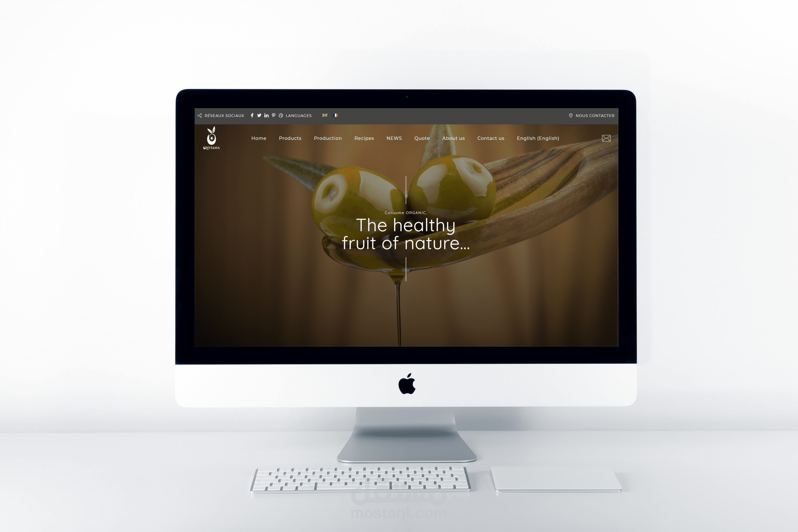 موقع ووردبريس متعدد اللغات