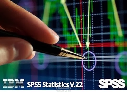 تفريغ الإستبيانات على SPSS
