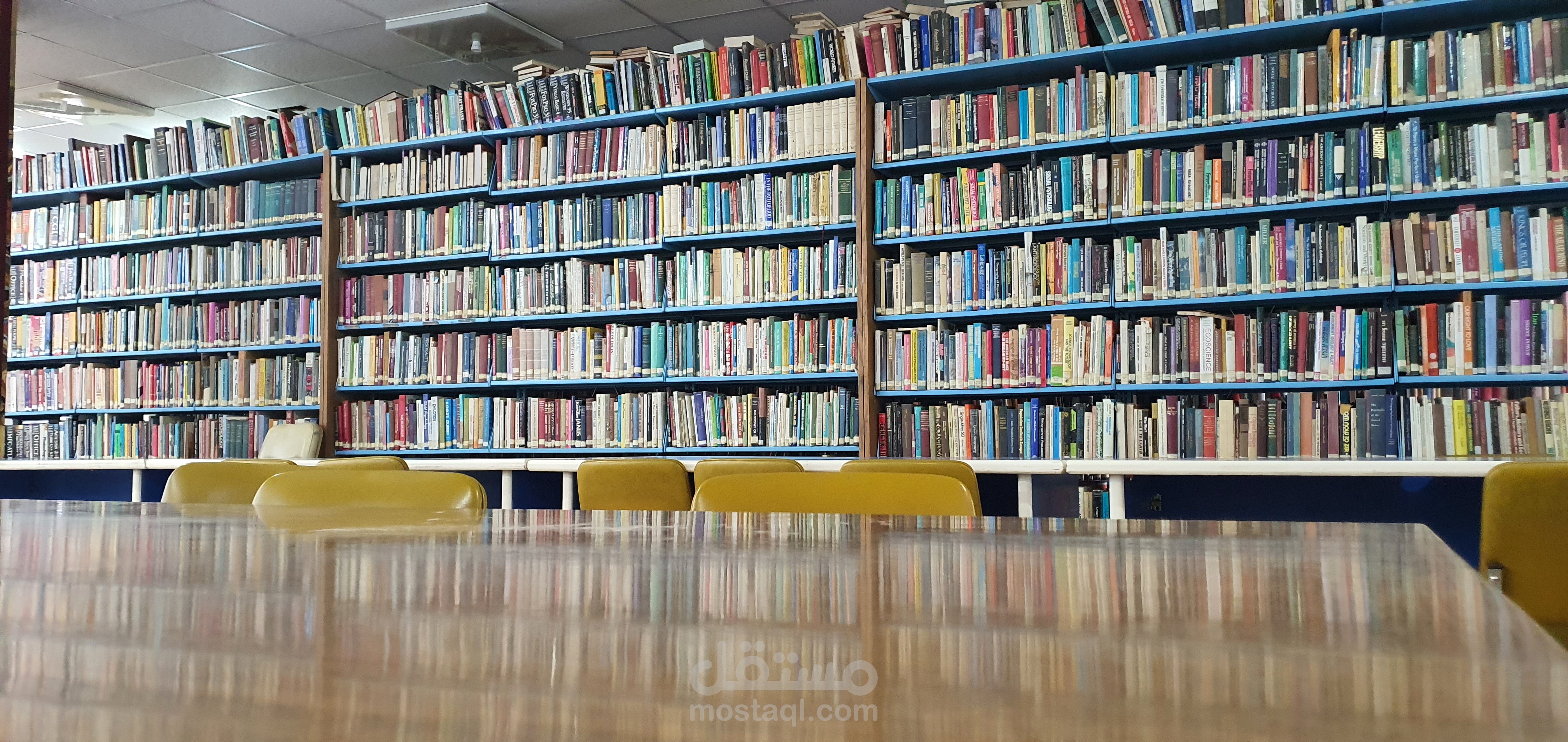 رابط الموقع الالكتروني https://mohammedseif.gt.tc/index.php