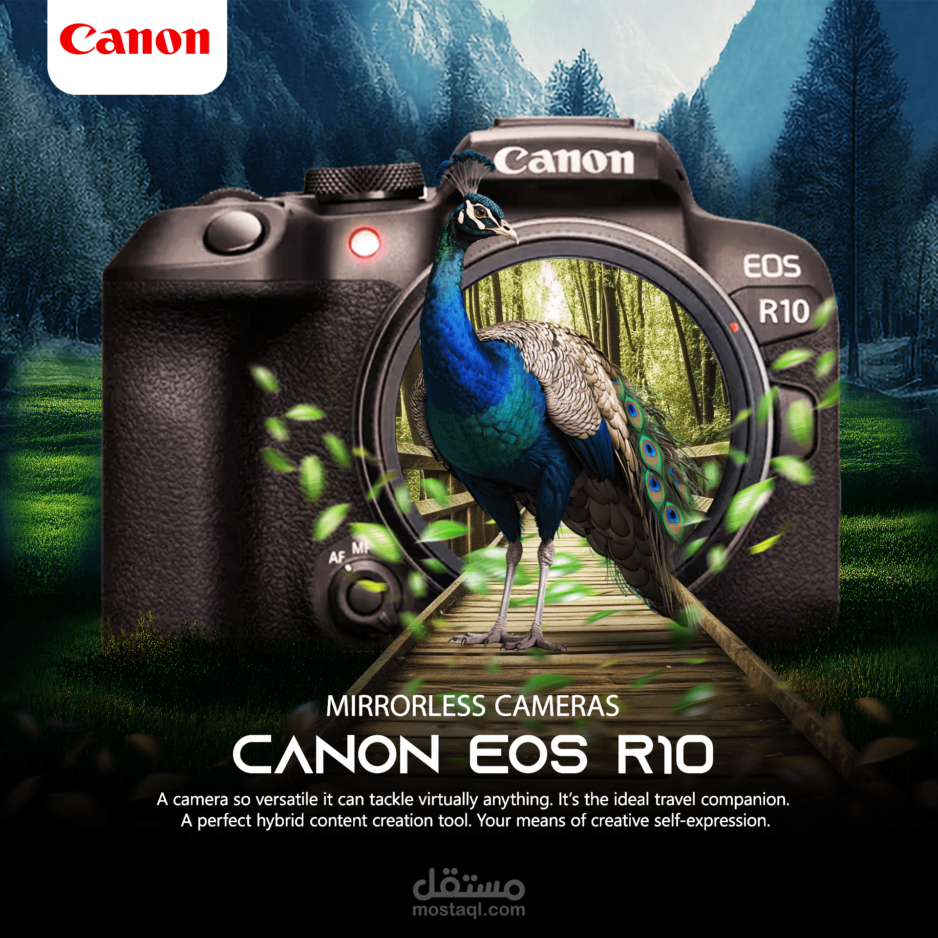 design manipulation canon