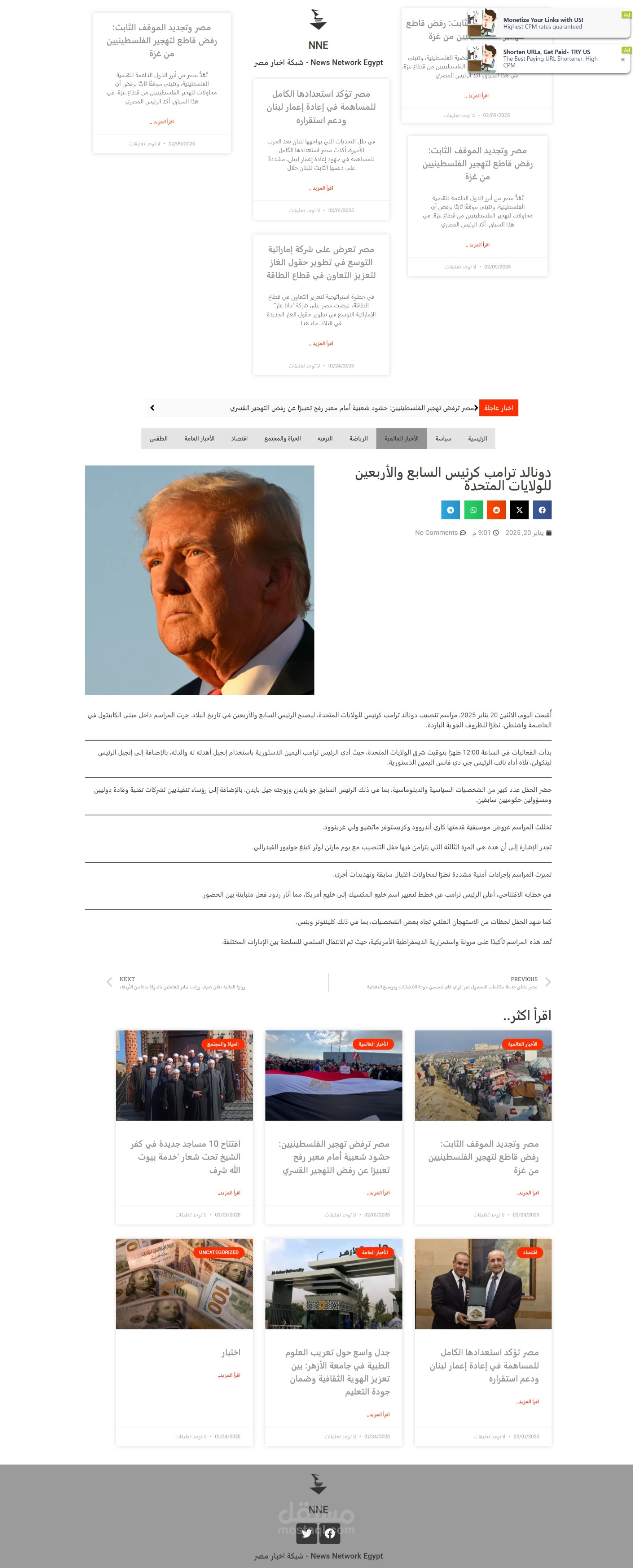 wordpress - news network egypt