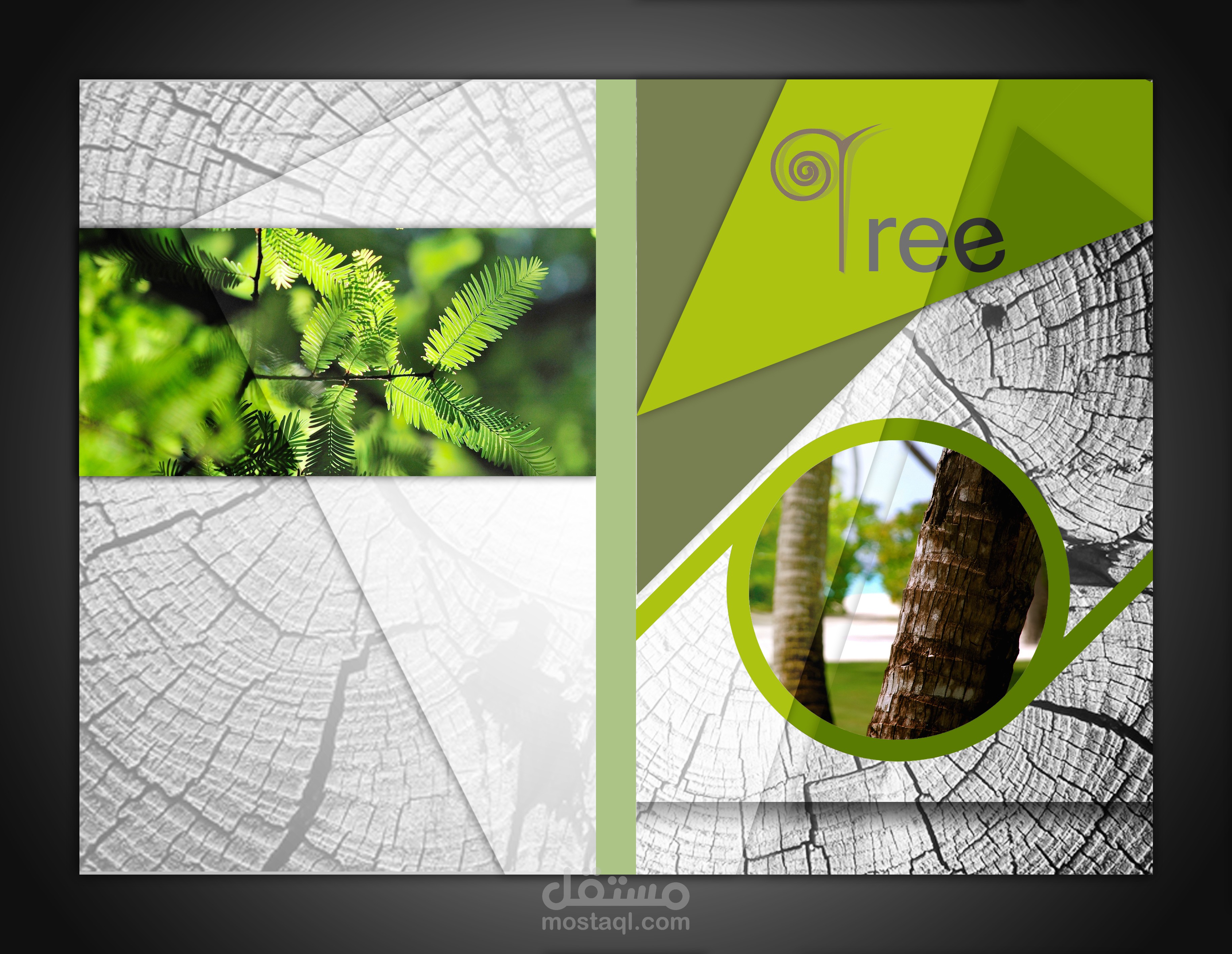 Hidden-Life-of-Trees