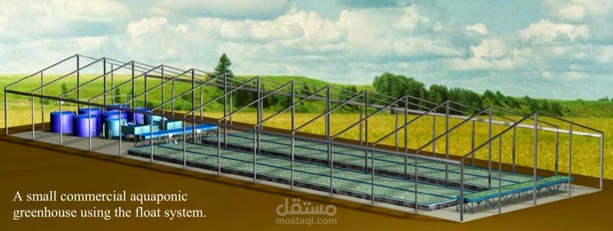 دراسة جدوى مزرعة اكوابونيك