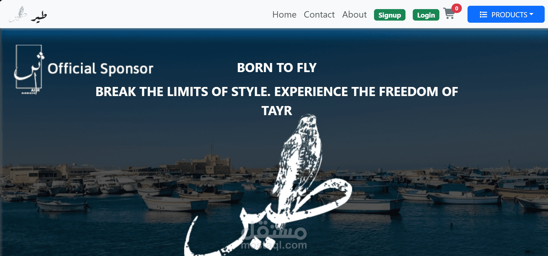 teercom store web-site