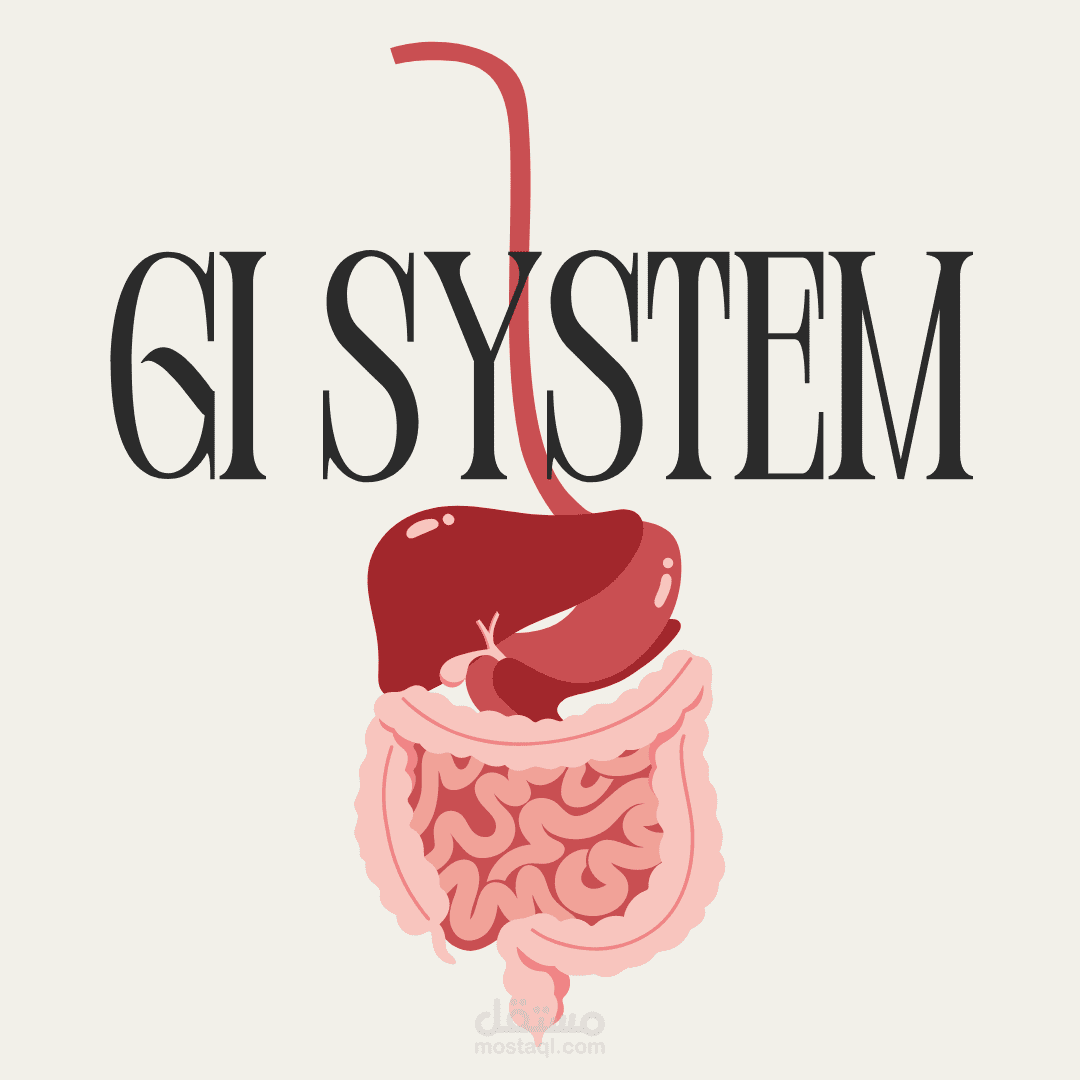 عمل ملخص طبي شامل للفحص السريري للجهاز الهضمي على برنامج البوربوينت لمجموعة من طلاب الطب كواجب جامعي